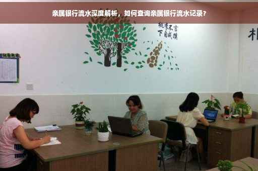 亲属银行流水深度解析，如何查询亲属银行流水记录？