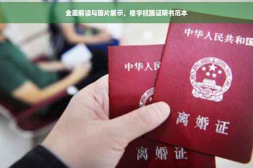 全面解读与图片展示，楼宇权属证明书范本