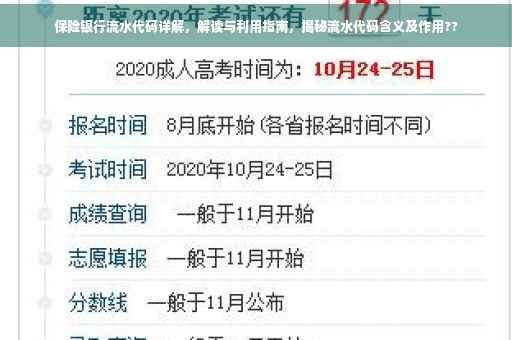保险银行流水代码详解，解读与利用指南，揭秘流水代码含义及作用??