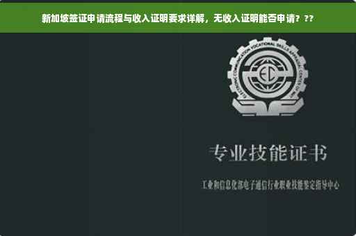 新加坡签证申请流程与收入证明要求详解，无收入证明能否申请？??