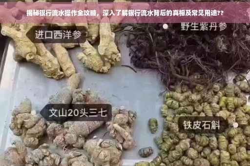 揭秘银行流水操作全攻略，深入了解银行流水背后的真相及常见用途??