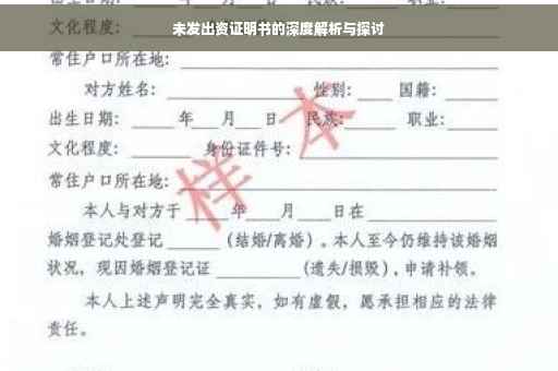 未发出资证明书的深度解析与探讨
