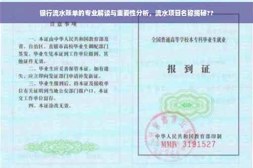 银行流水账单的专业解读与重要性分析，流水项目名称揭秘??