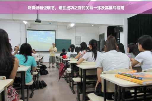 财务经验证明书，通往成功之路的关键一环及其撰写指南