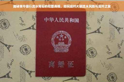 揭秘黄牛银行流水背后的犯罪真相，如何应对大额流水风险与应对之策