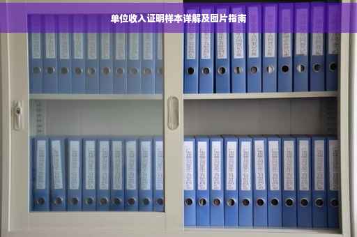 单位收入证明样本详解及图片指南