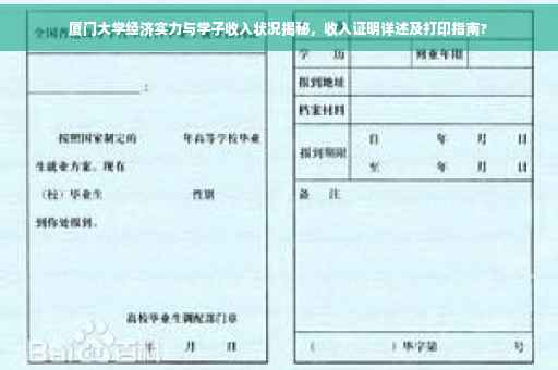 厦门大学经济实力与学子收入状况揭秘，收入证明详述及打印指南?