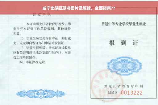 咸宁出院证明书图片及解读，全面指南??