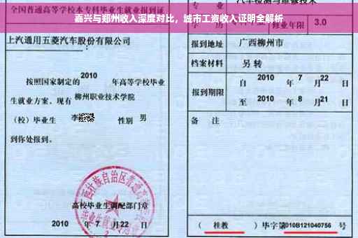 嘉兴与郑州收入深度对比，城市工资收入证明全解析