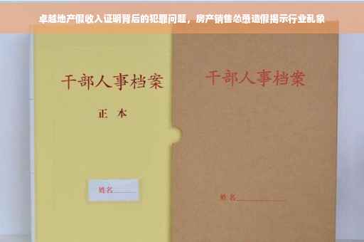 卓越地产假收入证明背后的犯罪问题，房产销售怂恿造假揭示行业乱象
