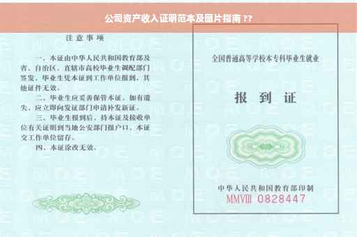 公司资产收入证明范本及图片指南 ??