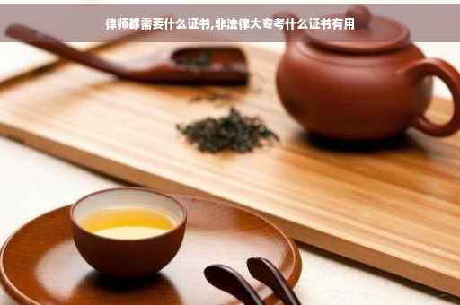 律师都需要什么证书,非法律大专考什么证书有用