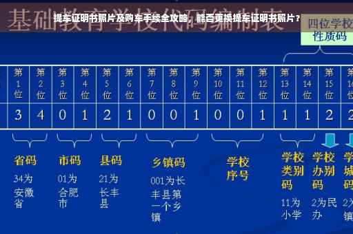 提车证明书照片及购车手续全攻略，能否更换提车证明书照片？