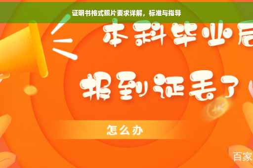 证明书格式照片要求详解，标准与指导