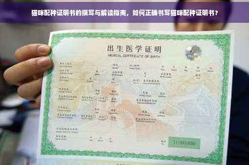 猫咪配种证明书的撰写与解读指南，如何正确书写猫咪配种证明书？