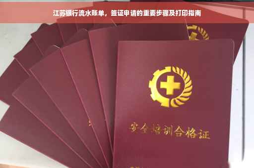 江苏银行流水账单，签证申请的重要步骤及打印指南