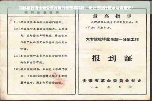 揭秘银行流水无公章背后的秘密与真相，无公章银行流水是否有效？