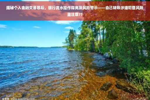 揭秘个人金融交易幕后，银行流水操作指南及风险警示——自己转账涉嫌犯罪风险需注意??