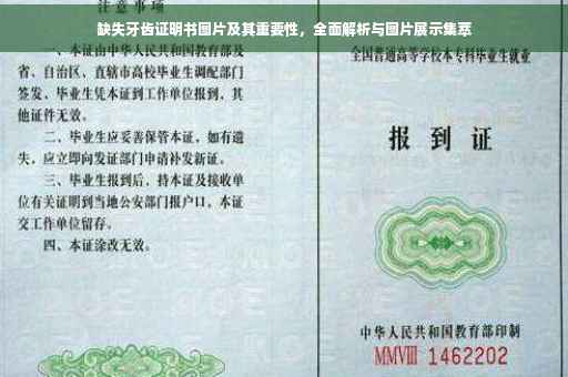 缺失牙齿证明书图片及其重要性，全面解析与图片展示集萃