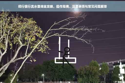 招行银行流水查询全攻略，操作指南、注意事项与常见问题解答