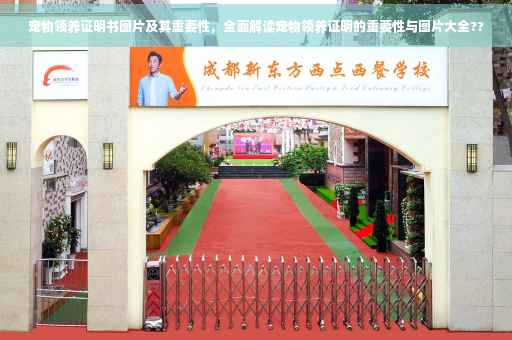 宠物领养证明书图片及其重要性，全面解读宠物领养证明的重要性与图片大全??