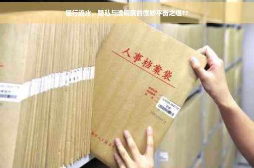 银行流水，隐私与透明度的微妙平衡之道??