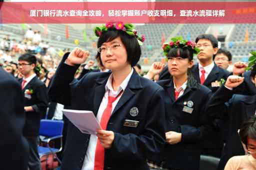 厦门银行流水查询全攻略，轻松掌握账户收支明细，查流水流程详解