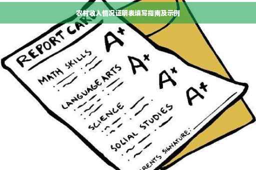 农村收入情况证明表填写指南及示例