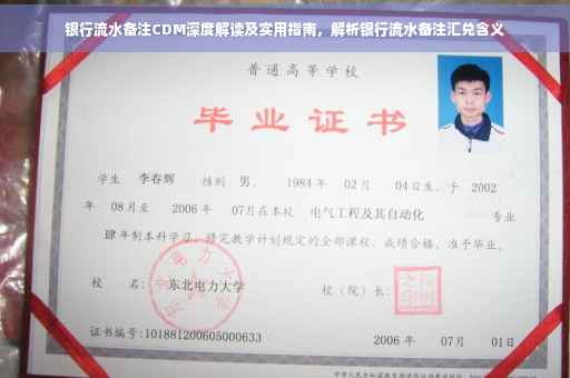 银行流水备注CDM深度解读及实用指南，解析银行流水备注汇兑含义