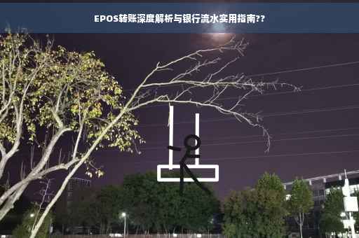 EPOS转账深度解析与银行流水实用指南??