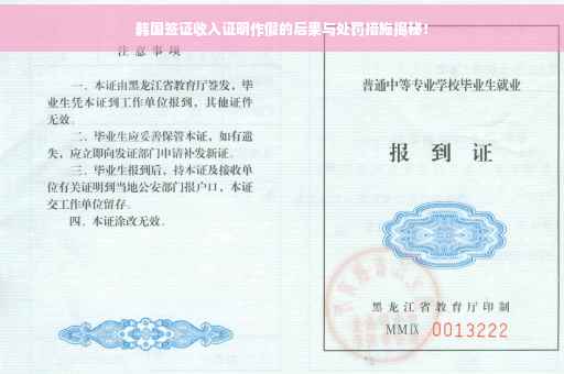 韩国签证收入证明作假的后果与处罚措施揭秘！