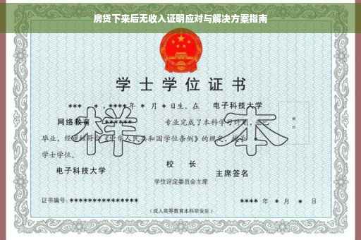 房贷下来后无收入证明应对与解决方案指南