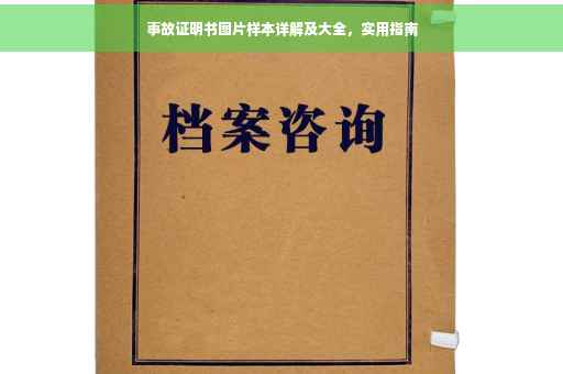 事故证明书图片样本详解及大全，实用指南
