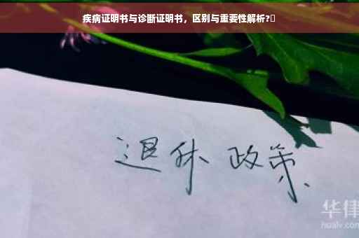 疾病证明书与诊断证明书，区别与重要性解析?✨