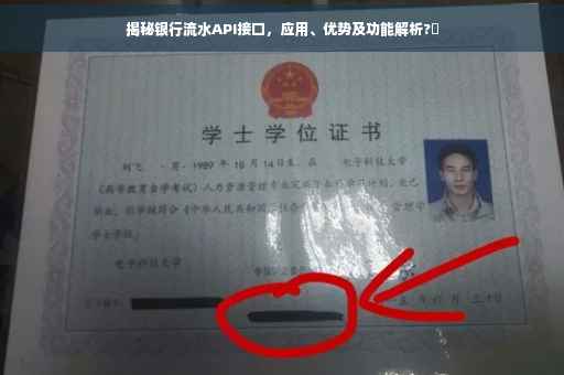 揭秘银行流水API接口，应用、优势及功能解析?✨