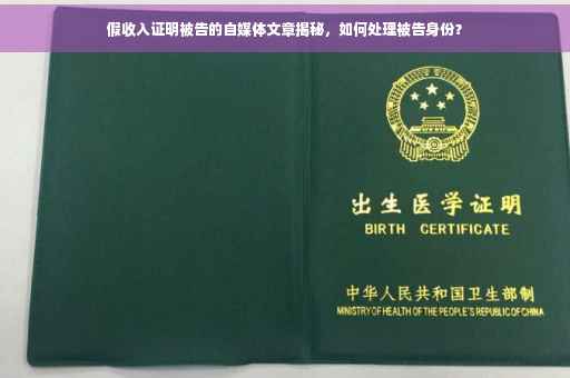 假收入证明被告的自媒体文章揭秘，如何处理被告身份？