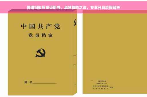 舞阳钢板质量证明书，卓越信赖之选，专业开具流程解析