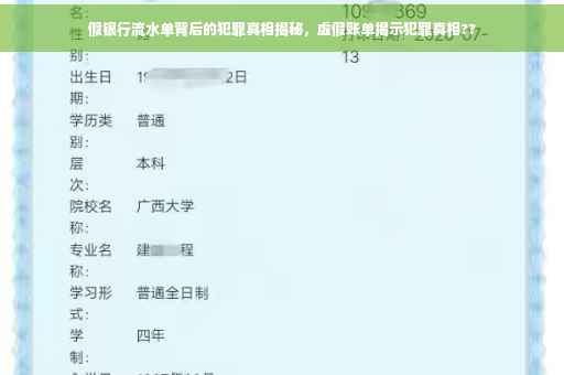 假银行流水单背后的犯罪真相揭秘，虚假账单揭示犯罪真相??