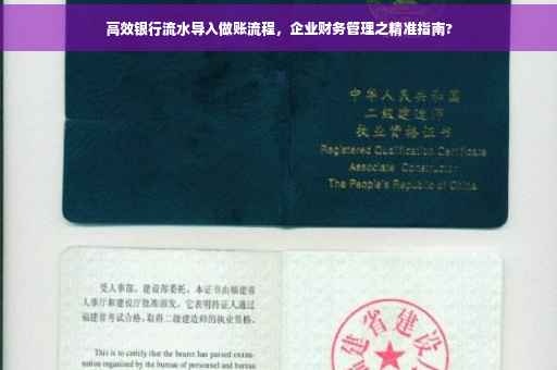 高效银行流水导入做账流程，企业财务管理之精准指南?