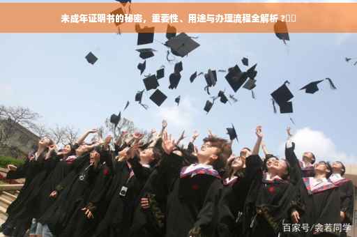 未成年证明书的秘密，重要性、用途与办理流程全解析 ?⚡️
