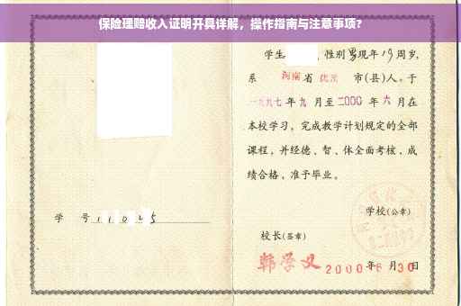 保险理赔收入证明开具详解，操作指南与注意事项?