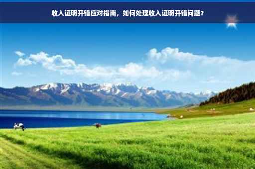 收入证明开错应对指南，如何处理收入证明开错问题？