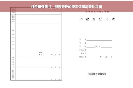 打疫苗证明书，健康守护的坚实证据与图片指南