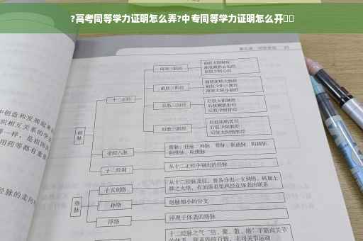 ?高考同等学力证明怎么弄?中专同等学力证明怎么开⚡️