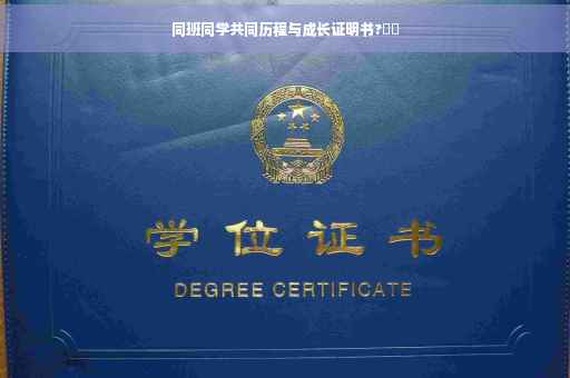 同班同学共同历程与成长证明书?⚡️