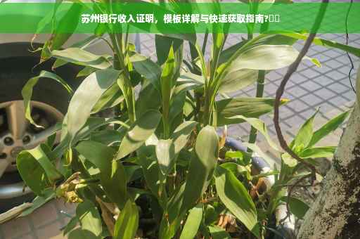 苏州银行收入证明，模板详解与快速获取指南?⚡️
