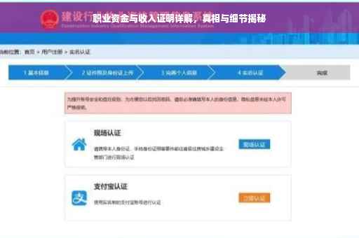 职业资金与收入证明详解，真相与细节揭秘