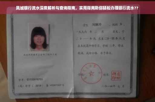 凤城银行流水深度解析与查询指南，实用指南助你轻松办理银行流水??