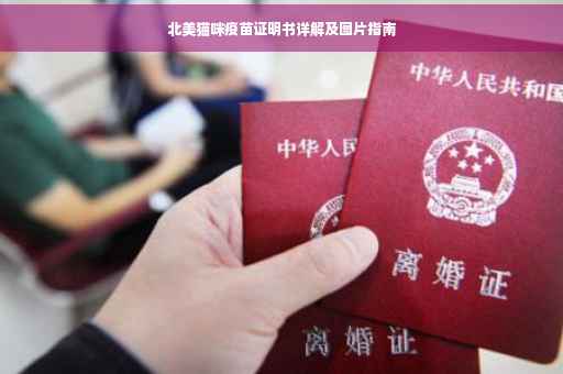 北美猫咪疫苗证明书详解及图片指南