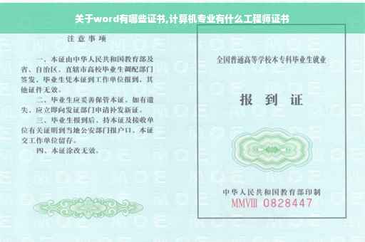 关于word有哪些证书,计算机专业有什么工程师证书